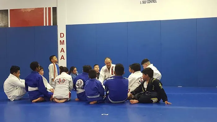 Davis Martial Arts Academy Picture 6