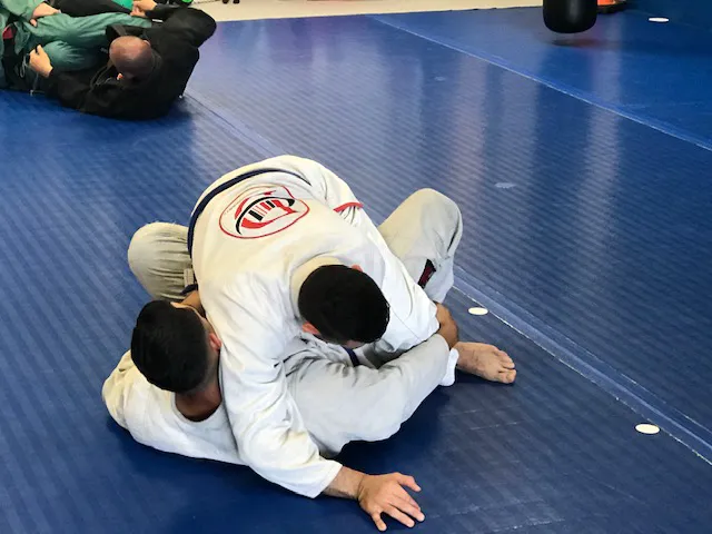 Davis Martial Arts Academy Picture 2