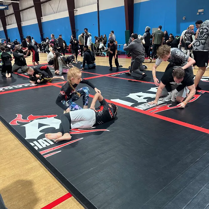 Davis Martial Arts Academy Picture 9