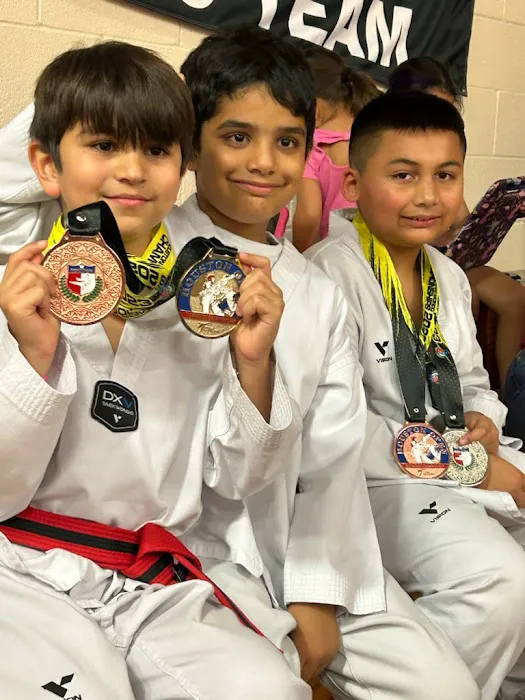Cho's Competitive TaeKwonDo Picture 1