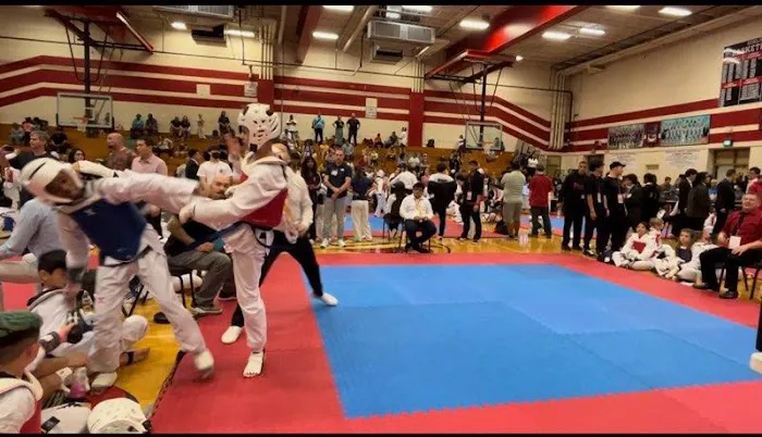 Cho's Competitive TaeKwonDo Picture 10
