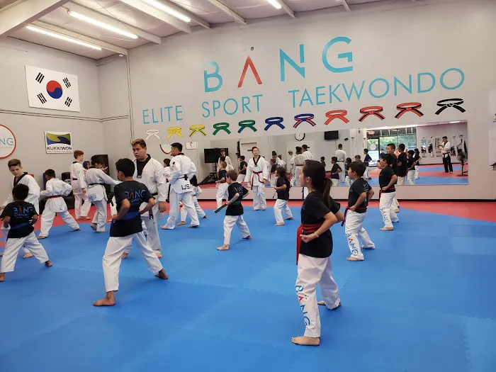 Bang Elite Sport Taekwondo Picture 4