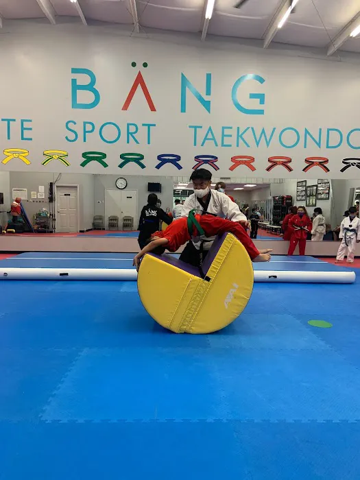 Bang Elite Sport Taekwondo Picture 3