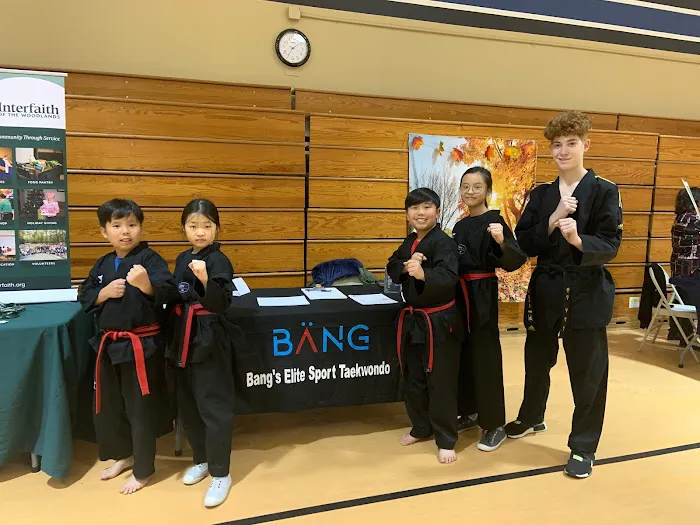 Bang Elite Sport Taekwondo Picture 7