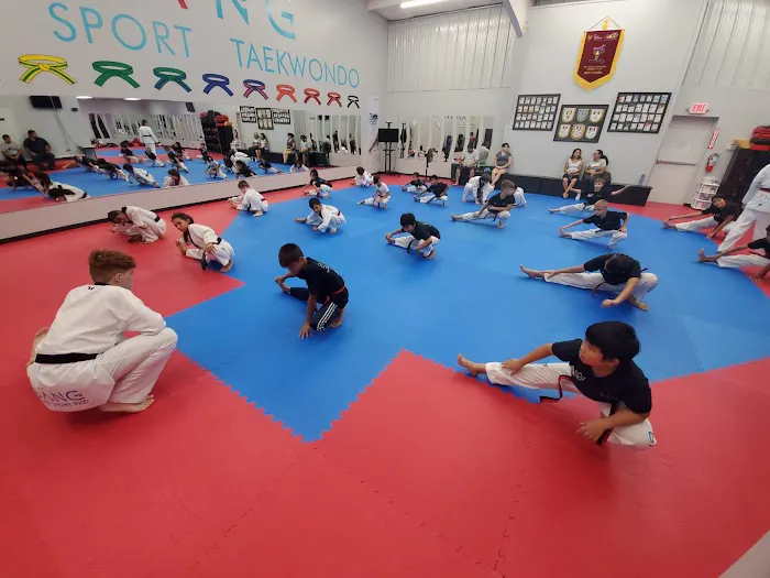Bang Elite Sport Taekwondo Picture 8