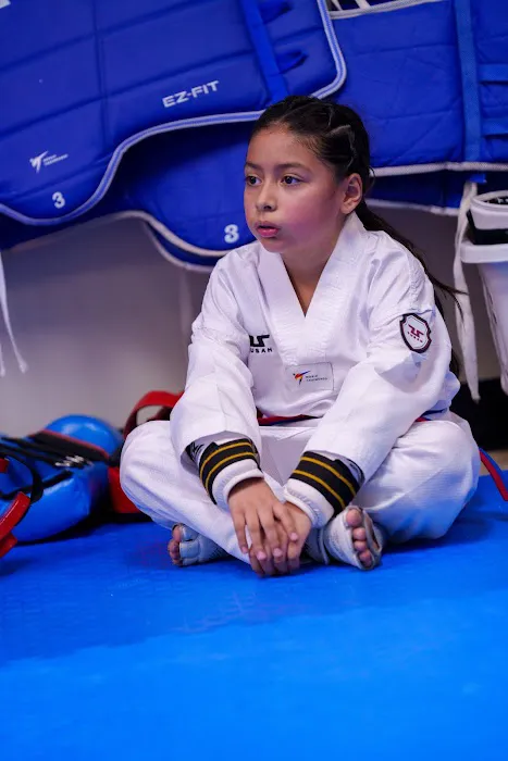 Ascend Taekwondo Picture 9