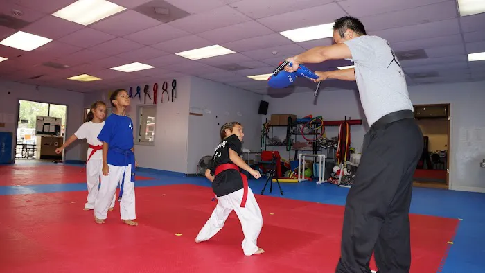 Cho's TaeKwonDo Academy Picture 3