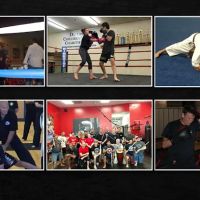 Spring Cypress Martial Arts ico