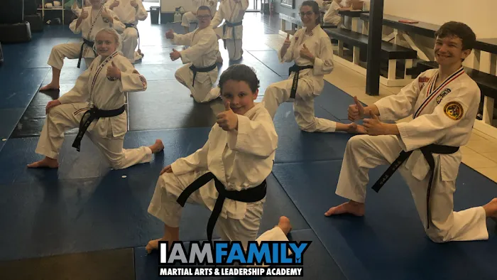 IAMFamily Martial Arts and Leadership Academy / Spring’s BEST Afterschool and Summer camp Picture 10