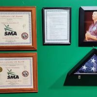 Spring Martial Arts ico