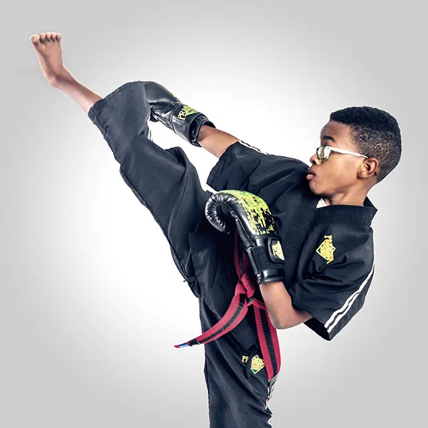Premier Martial Arts The Woodlands/Gosling Picture 3