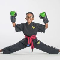 Premier Martial Arts The Woodlands/Gosling ico