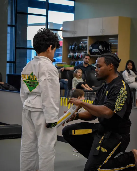 Premier Martial Arts The Woodlands/Gosling Picture 10