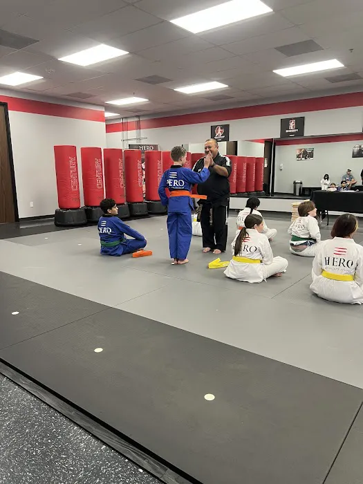 HERO Martial Arts Academy - West Rayford Picture 1