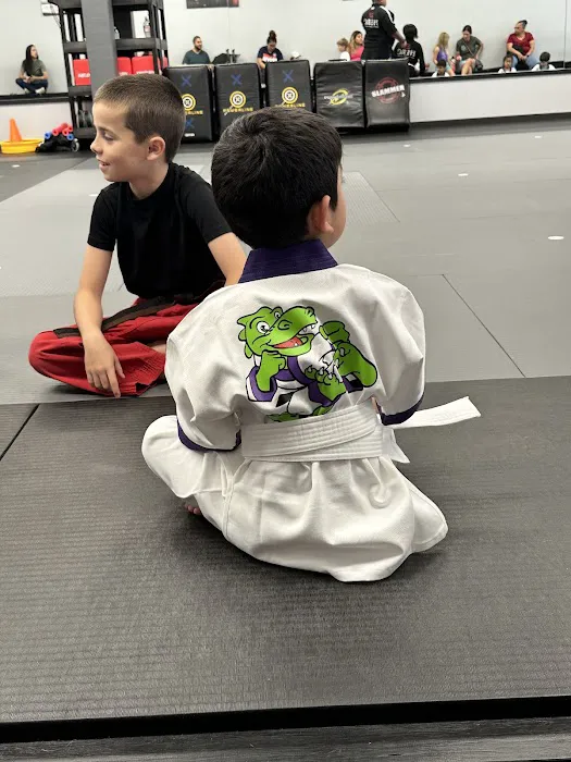 HERO Martial Arts Academy - West Rayford Picture 7