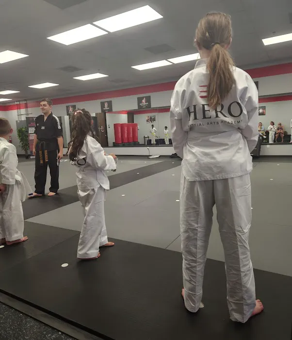 HERO Martial Arts Academy - West Rayford Picture 4