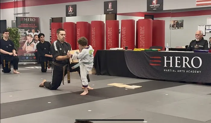 HERO Martial Arts Academy - West Rayford Picture 6