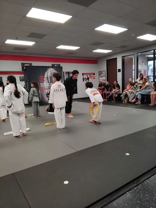 HERO Martial Arts Academy - West Rayford Picture 2