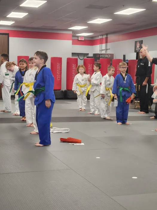 HERO Martial Arts Academy - West Rayford Picture 10