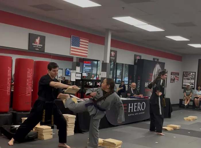 HERO Martial Arts Academy - West Rayford Picture 8