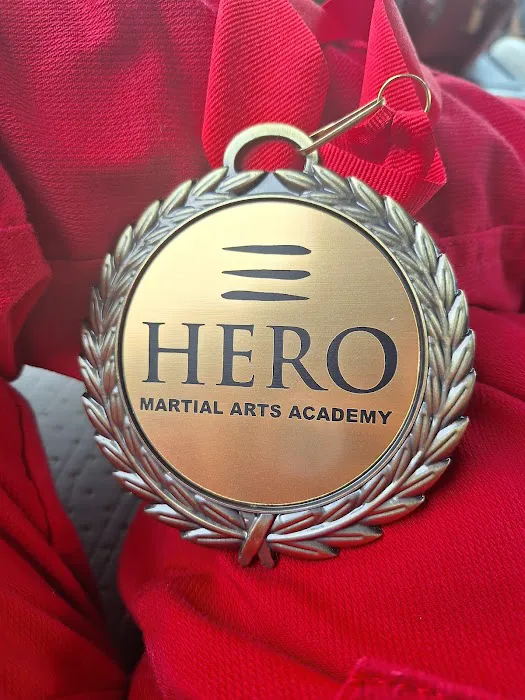 HERO Martial Arts Academy - West Rayford Picture 9