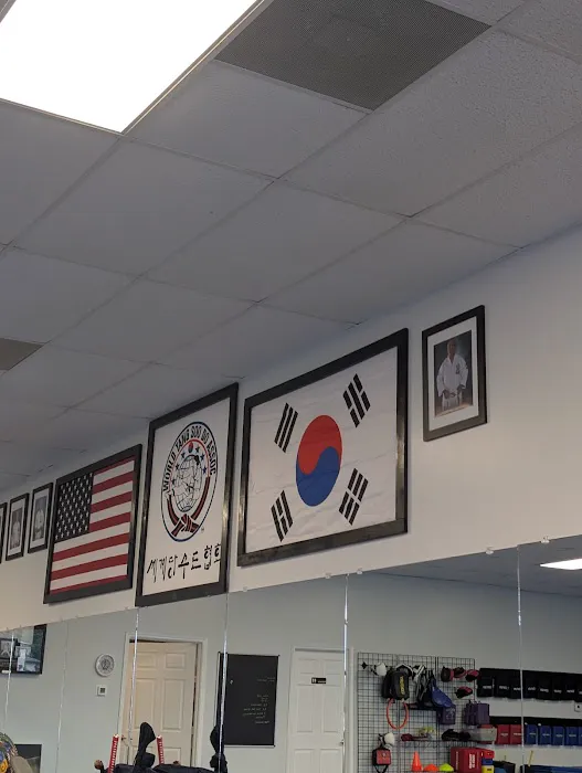 Karate Masters Inc Picture 4