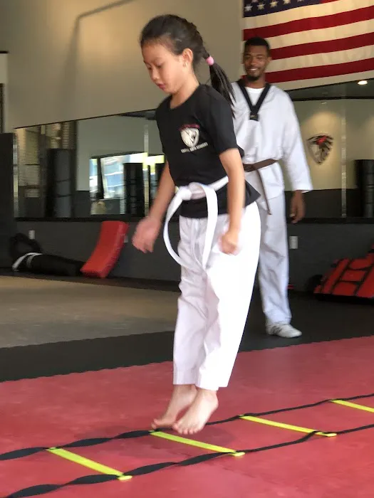 Defenders Martial Arts Academy Picture 5
