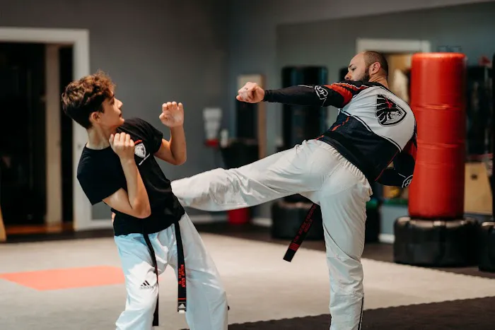 Defenders Martial Arts Academy Picture 6