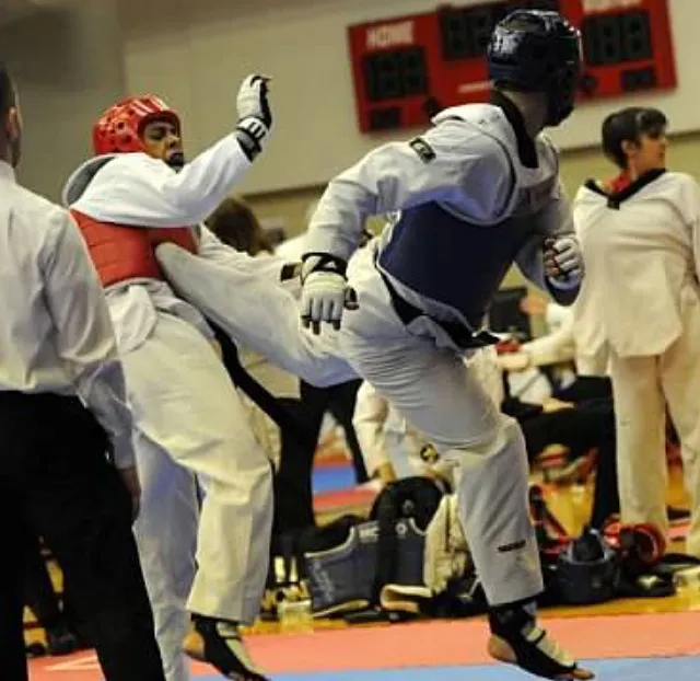 Defenders Martial Arts Academy Picture 10