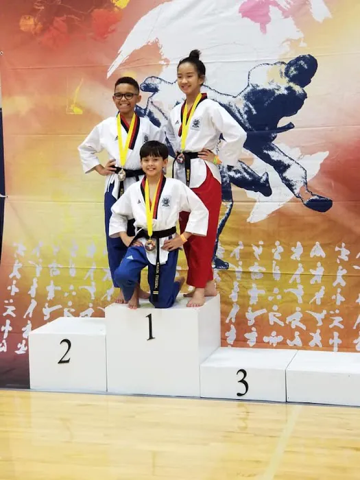 Master Jin's White Tiger Taekwondo Picture 3