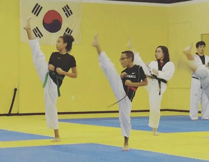 Master Jin's White Tiger Taekwondo Picture 2