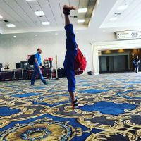 Master Jin's White Tiger Taekwondo ico