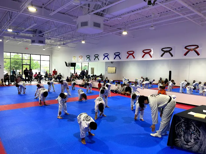 Master Jin's White Tiger Taekwondo Picture 7