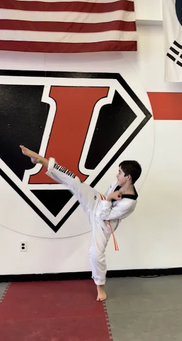 Icon Martial Arts Academy Picture 3