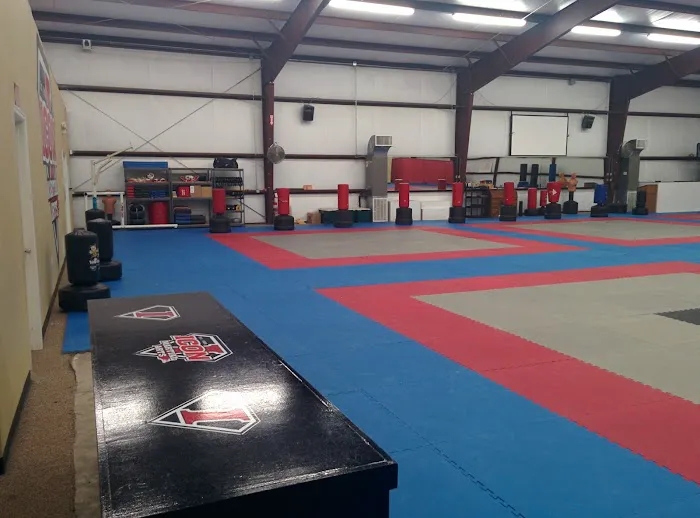 Icon Martial Arts Academy Picture 7