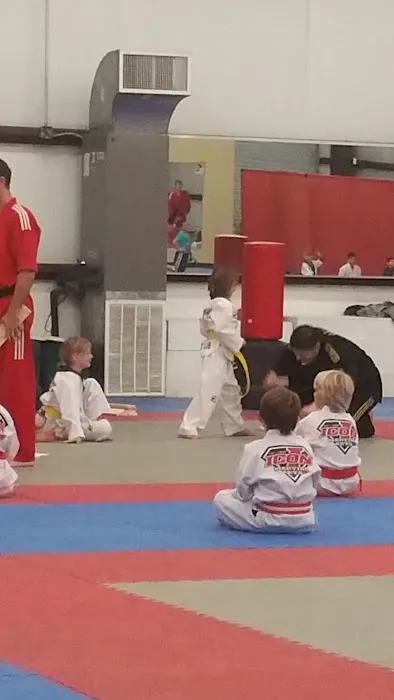 Icon Martial Arts Academy Picture 6