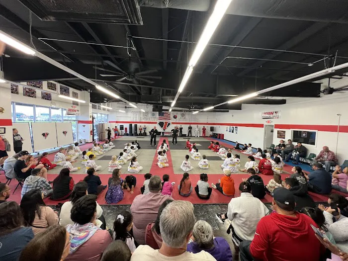 Icon Martial Arts Academy Picture 1