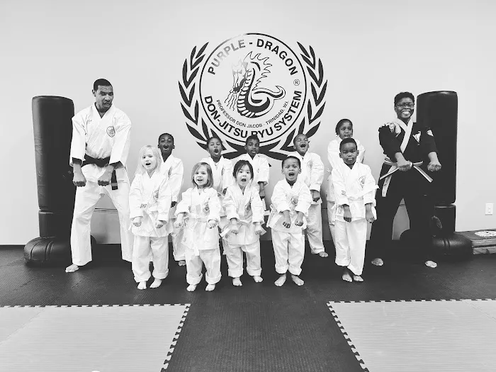 Purple Dragon International Karate & Fitness Academy Picture 5
