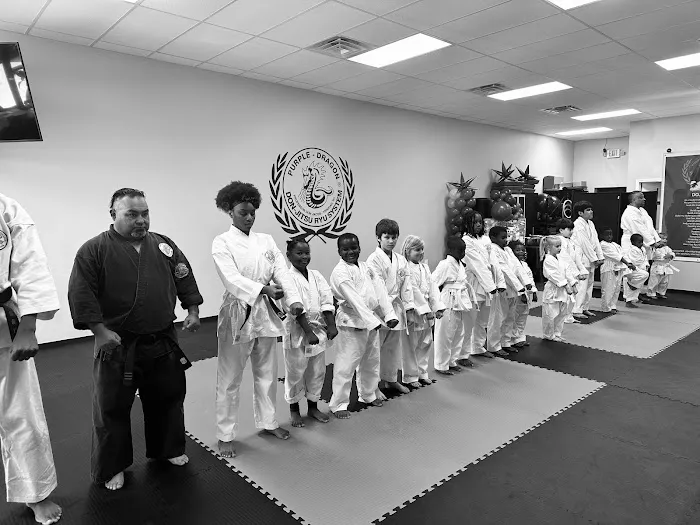 Purple Dragon International Karate & Fitness Academy Picture 2