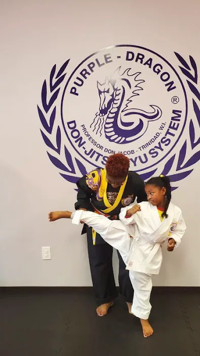 Purple Dragon International Karate & Fitness Academy Picture 6