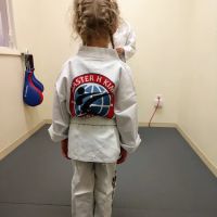 Master H Kim's World Class Tae Kwon Do ico