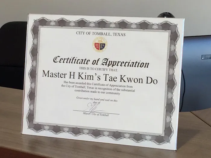 Master H Kim's World Class Tae Kwon Do Picture 4