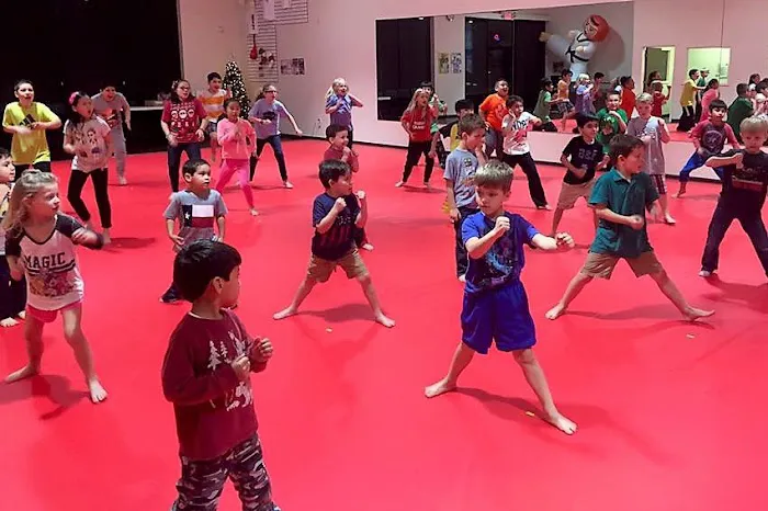 Master H Kim's World Class Tae Kwon Do Picture 8