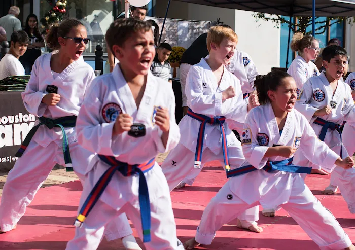 Master H Kim's World Class Tae Kwon Do Picture 9