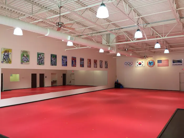 Master H Kim's World Class Tae Kwon Do Picture 10