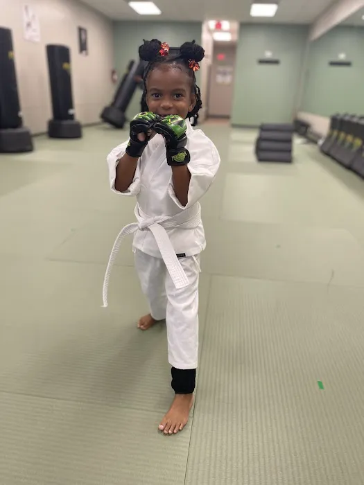 Premier Martial Arts Kingwood Picture 1