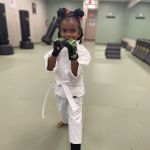 Premier Martial Arts Kingwood