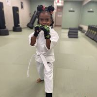 Premier Martial Arts Kingwood ico