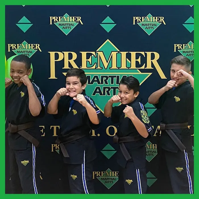 Premier Martial Arts Kingwood Picture 7