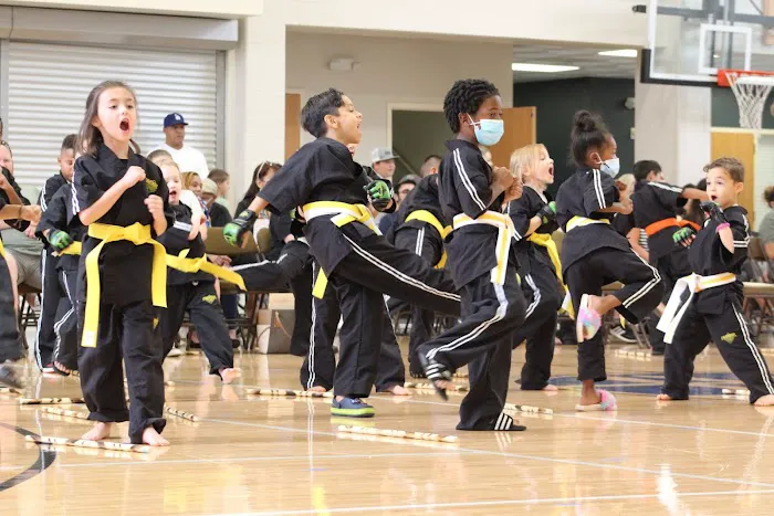 Premier Martial Arts Kingwood Picture 10